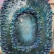 Mirror of ardor